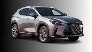 Lexus NX 2022 Review