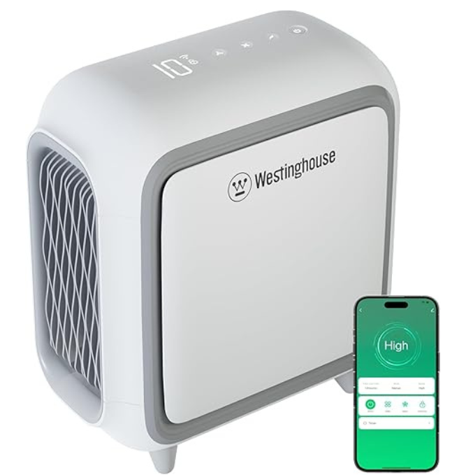 Top Car Air Purifiers of 2025